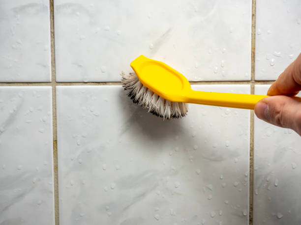 Best Residential Mold Remediation in Southfield, MI