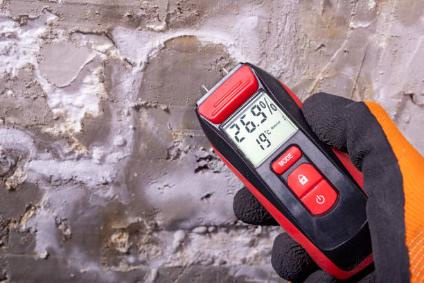 Best Insurance-Related Mold Remediation in Southfield, MI