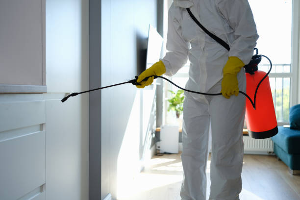  Southfield, MI Mold Removal Pros